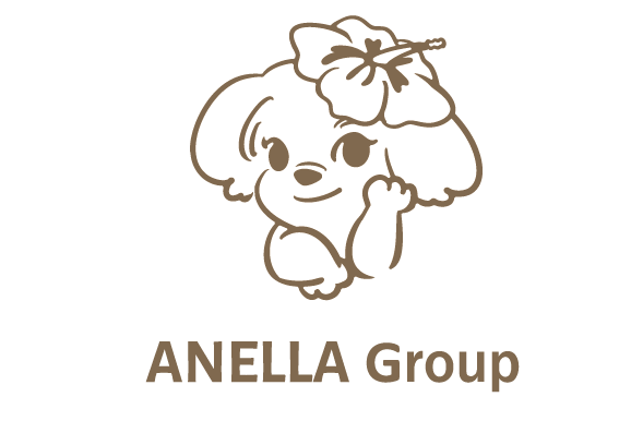 株式会社ANELLA Group
