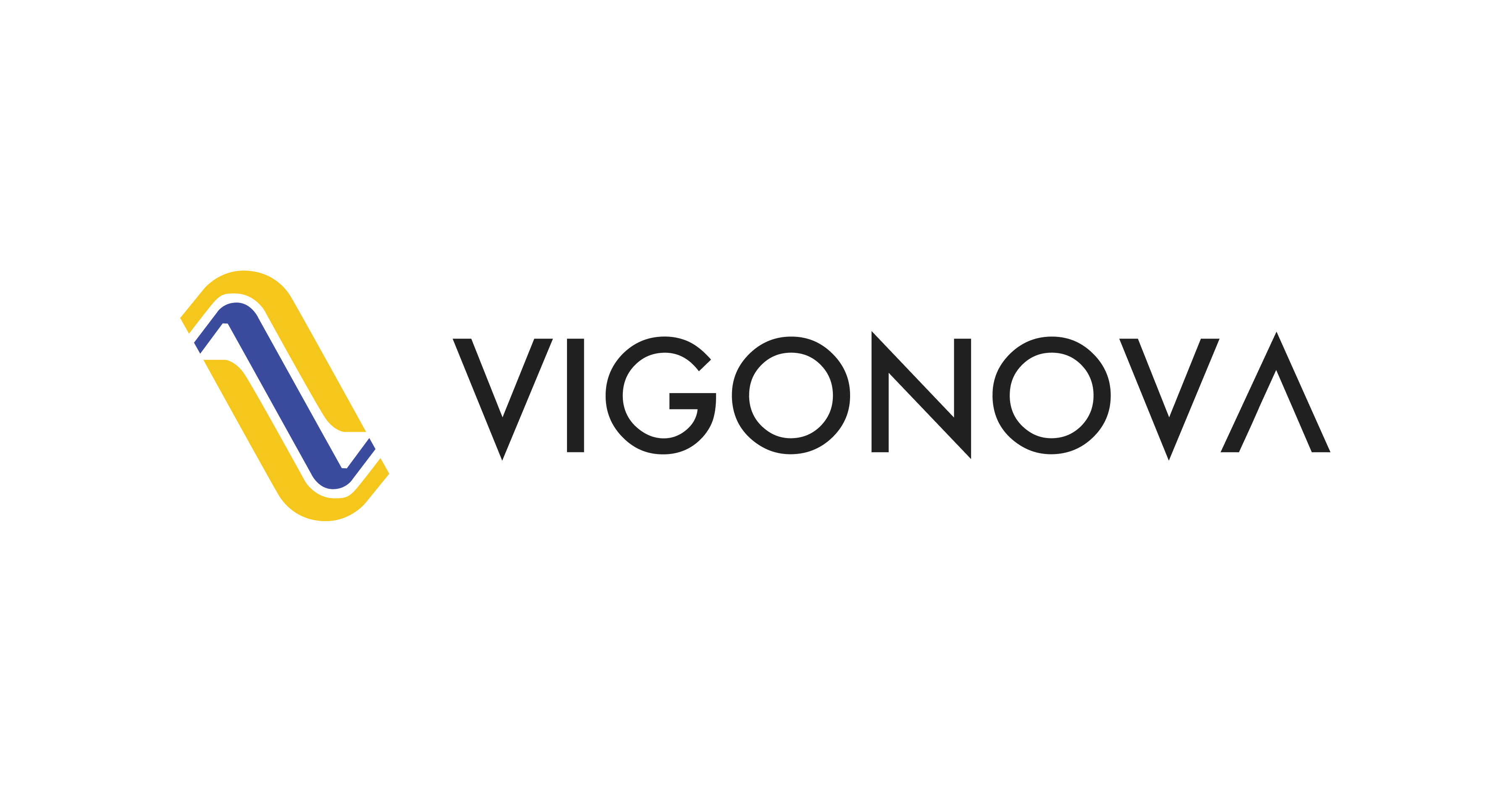 株式会社VIGONOVA